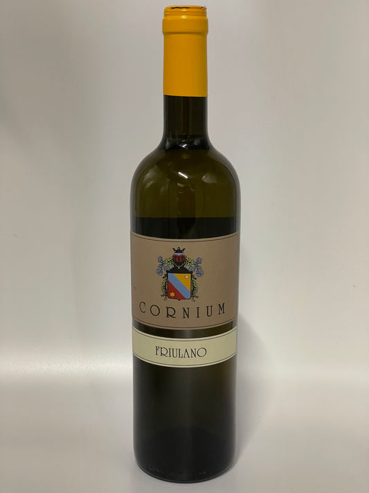 Friulano Doc 2023